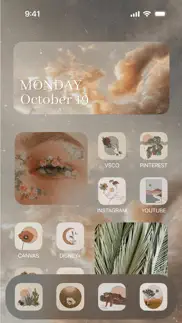 aesthetic: app icons & widgets iphone images 2