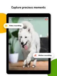 barkio: dog monitor & pet cam ipad images 4