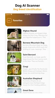 dog ai scanner and identifier iphone images 2