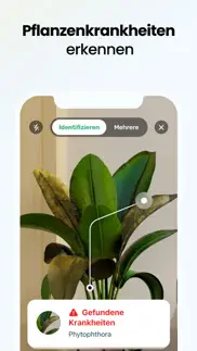 plant app - pflanzenfinder iphone bildschirmfoto 3