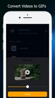 videoflex - video converter айфон картинки 3