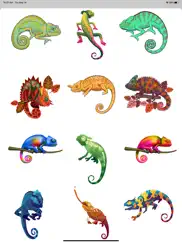 chameleon color stickers ipad images 4