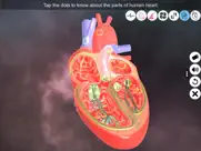 heart - an incredible pump ipad images 3