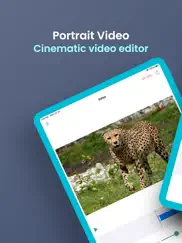 blur video background portrait ipad images 1