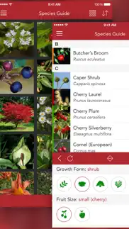wild berries and herbs lite iphone capturas de pantalla 3