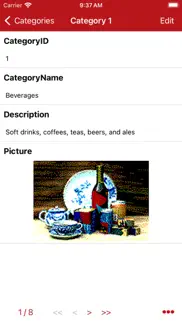 database manager for ms access iphone images 3