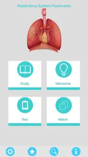 respiratory system flashcards iphone images 1