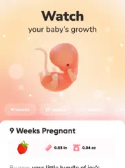 wemoms - pregnancy & baby app ipad images 1