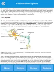 human nervous system anatomy ipad resimleri 3