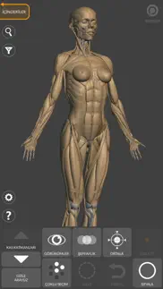 3d anatomy for the artist iphone resimleri 3