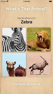 safari matching iphone images 1