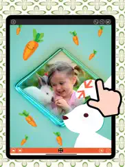 bunny photo frames ipad images 2