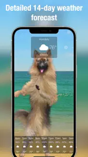 dog days weather live iphone resimleri 3