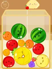 watermelon fruits match puzzle ipad capturas de pantalla 4