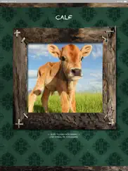 farm animals name and sound ipad images 1