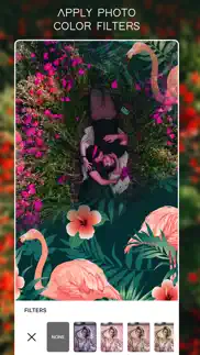 pink flamingo photo frames iphone images 2