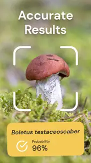 mushroom identification id iphone images 2