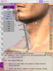 master tung acupuncture point ipad resimleri 2