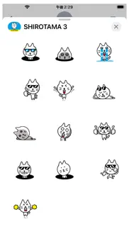 shirotama cat 3 sticker iphone images 3