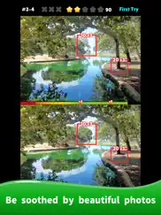 five differences max ipad images 2