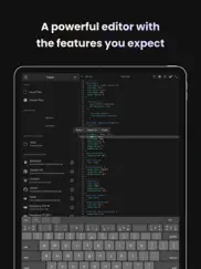 buffer editor - code editor ipad capturas de pantalla 2
