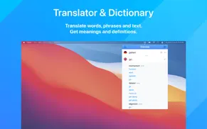 itranslate - translator iphone images 2
