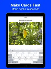 flash cards flashcards maker ipad images 2