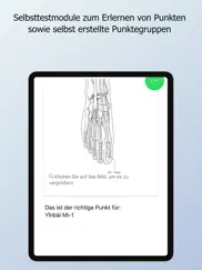 handbuch akupunktur 2023 ipad images 4