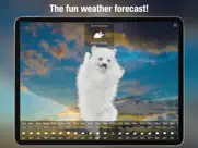 dog days weather live ipad images 1