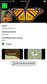 bug identifier - insect finder iphone images 3