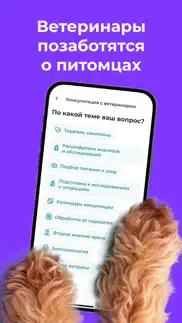 НаПоправку - врачи онлайн 24/7 айфон картинки 4
