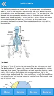 skeletal system anatomy iphone resimleri 3