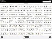 le guide ornitho iPad Captures Décran 1