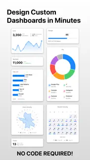 numerics - business dashboards айфон картинки 3