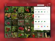 baies et herbes sauvages 2 pro iPad Captures Décran 2