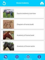 learn horse knowledge ipad resimleri 2