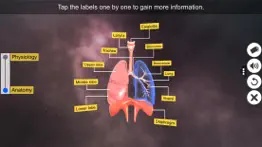 respiratory system physiology iphone images 2