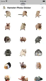 hamster photo sticker iphone images 1