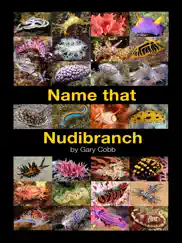 name that nudibranch ipad images 2