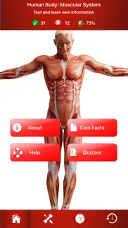 human muscular system trivia iphone images 1