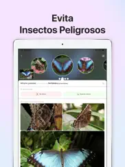 picture insect - insectos id ipad capturas de pantalla 3