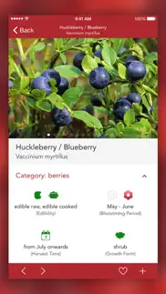 wild berries and herbs lite iphone capturas de pantalla 4