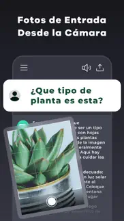 genie - chatbot ia en español iphone capturas de pantalla 3