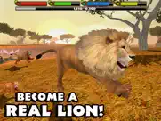 ultimate lion simulator ipad capturas de pantalla 1