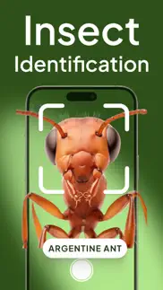 photo insect identifier bug id iphone resimleri 1