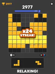 block puzzle sudoku ipad images 2