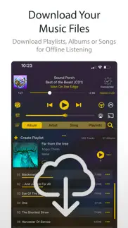 musicstreamer lite iphone images 4
