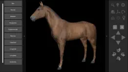3d horse anatomy software iphone bildschirmfoto 1