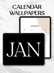 stylekit- aesthetic wallpapers iPad Captures Décran 3