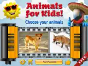 animals for kids, toddler game ipad resimleri 1